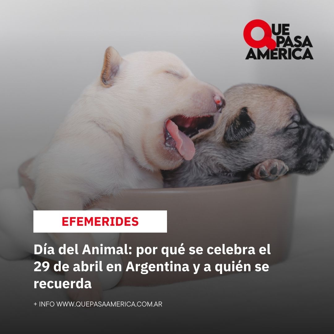 Día del Animal: por qué se celebra el 29 de abril en Argentina y a quién se recuerda