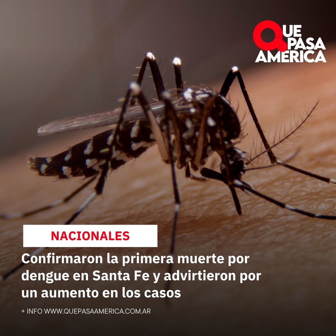 Confirmaron la primera muerte por dengue en Santa Fe y advirtieron por un aumento en los casos