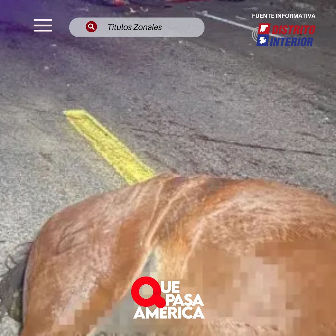 Automóvil embistió a un equino en la Ruta 226 cerca de Tres Algarrobos