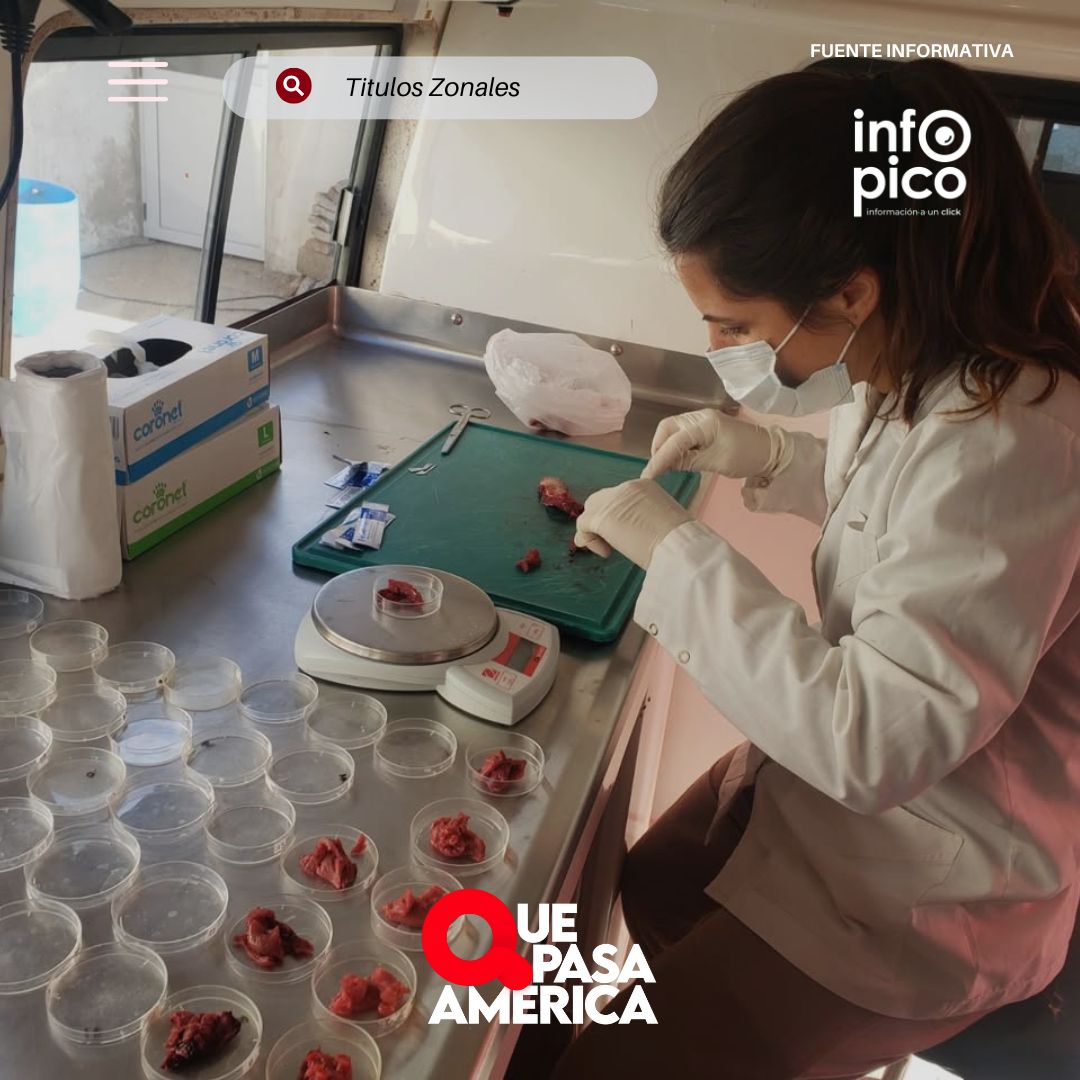 TRIQUINOSIS EN JABALIES: detección durante torneo de caza en General Pico