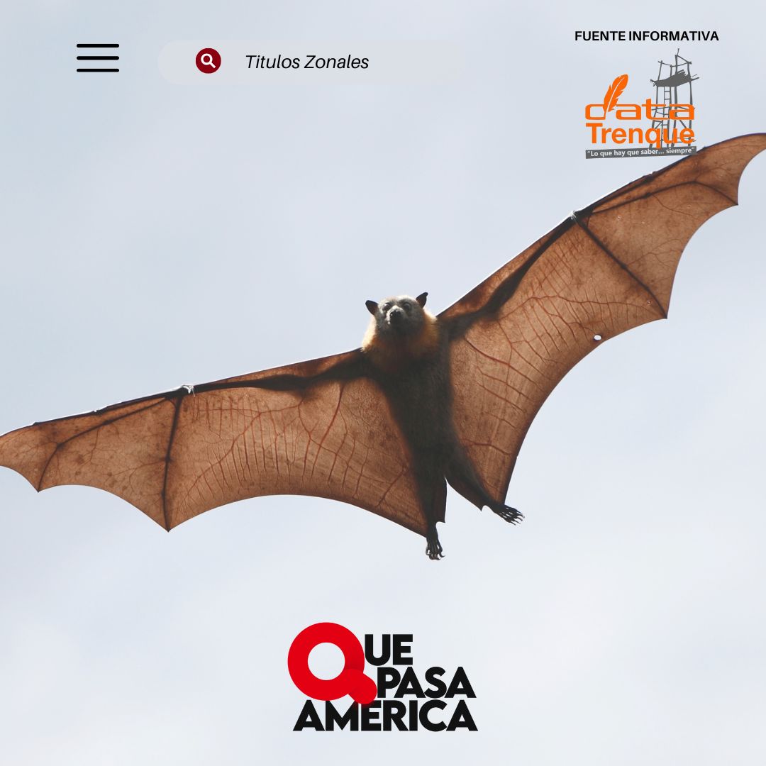POR UN CASO POSITIVO DE RABIA EN UN MURCIÉLAGO, ZOONOSIS MUNICIPAL SALDRÁ MAÑANA A VACUNAR A MASCOTAS EN UN SECTOR DE LA CIUDAD