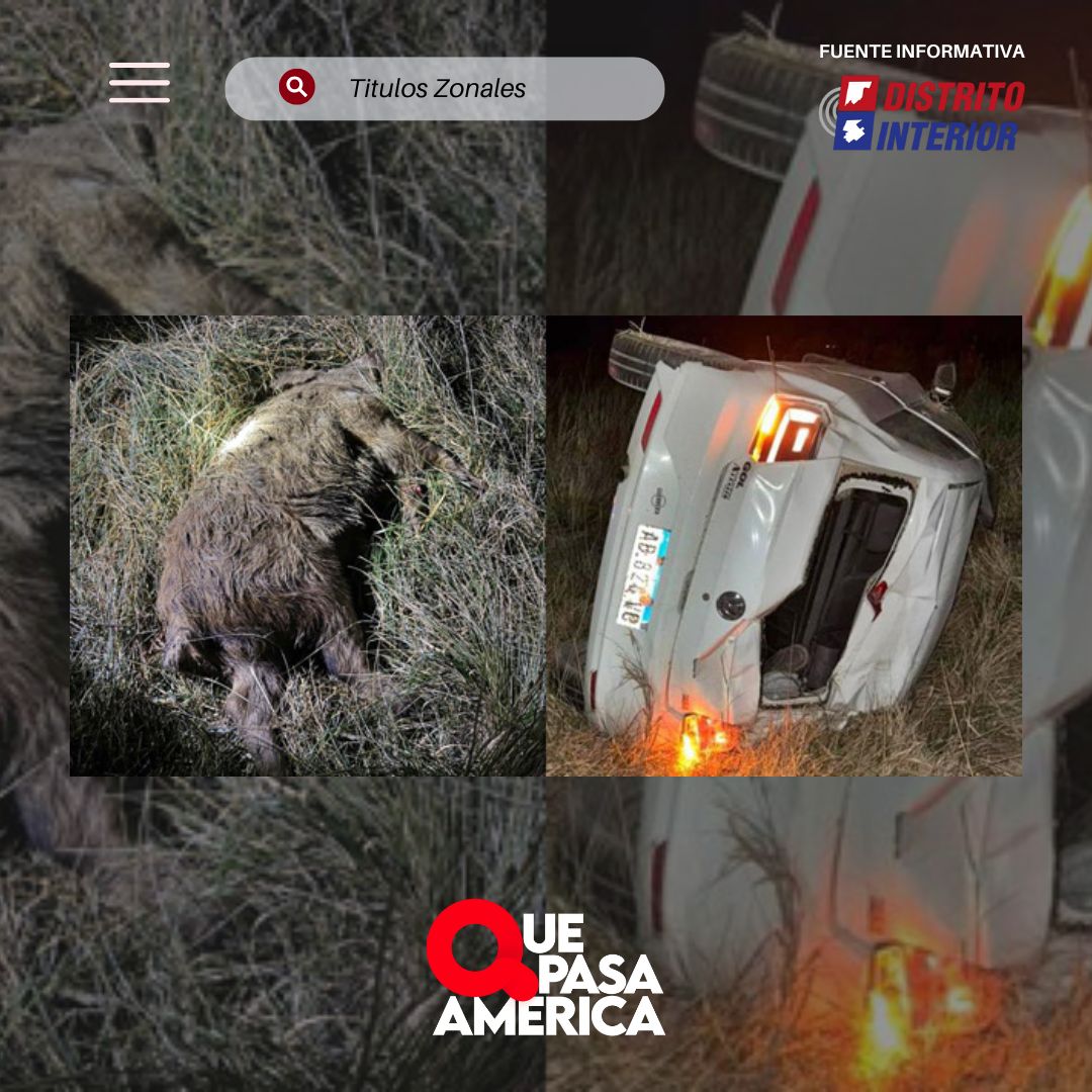 Chocó un jabalí en la Ruta 188 y volcó