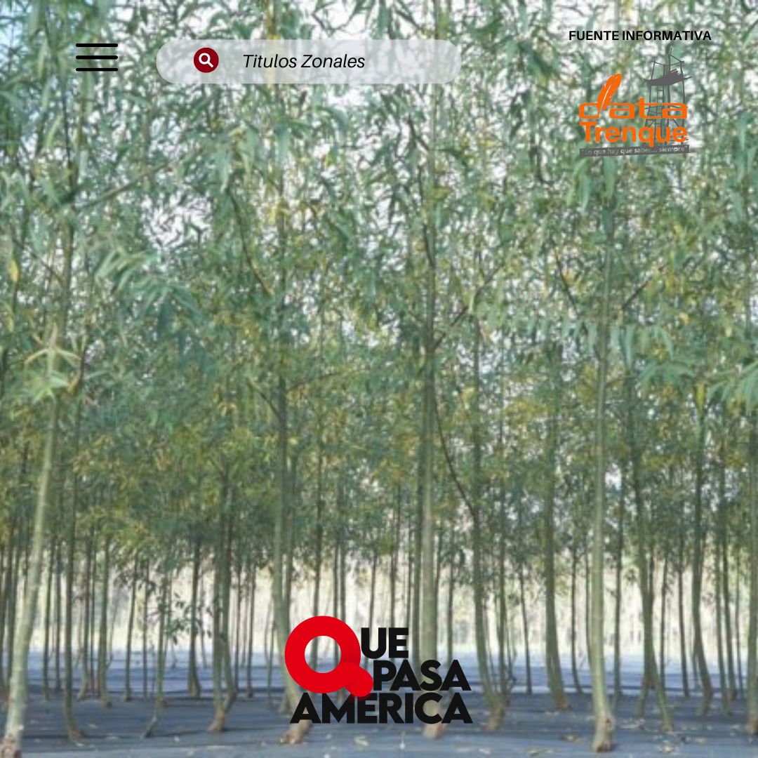 LA DIRECCIÓN DE ESPACIOS VERDES TIENE DISPONIBLES ÁRBOLES PRODUCIDOS EN EL VIVERO MUNICIPAL DESTINADOS A ESPACIOS EXTRAURBANOS