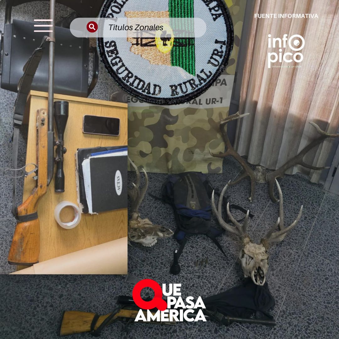 Caza furtiva en La Pampa: Secuestran armas, municiones y animales silvestres