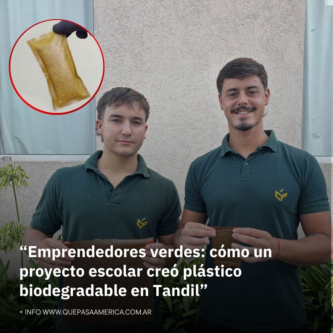 “Emprendedores verdes: cómo un proyecto escolar creó plástico biodegradable en Tandil”