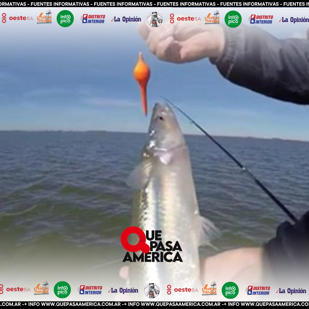 Comienza la veda de pesca del pejerrey: va desde el 1 de septiembre hasta el 30 de noviembre