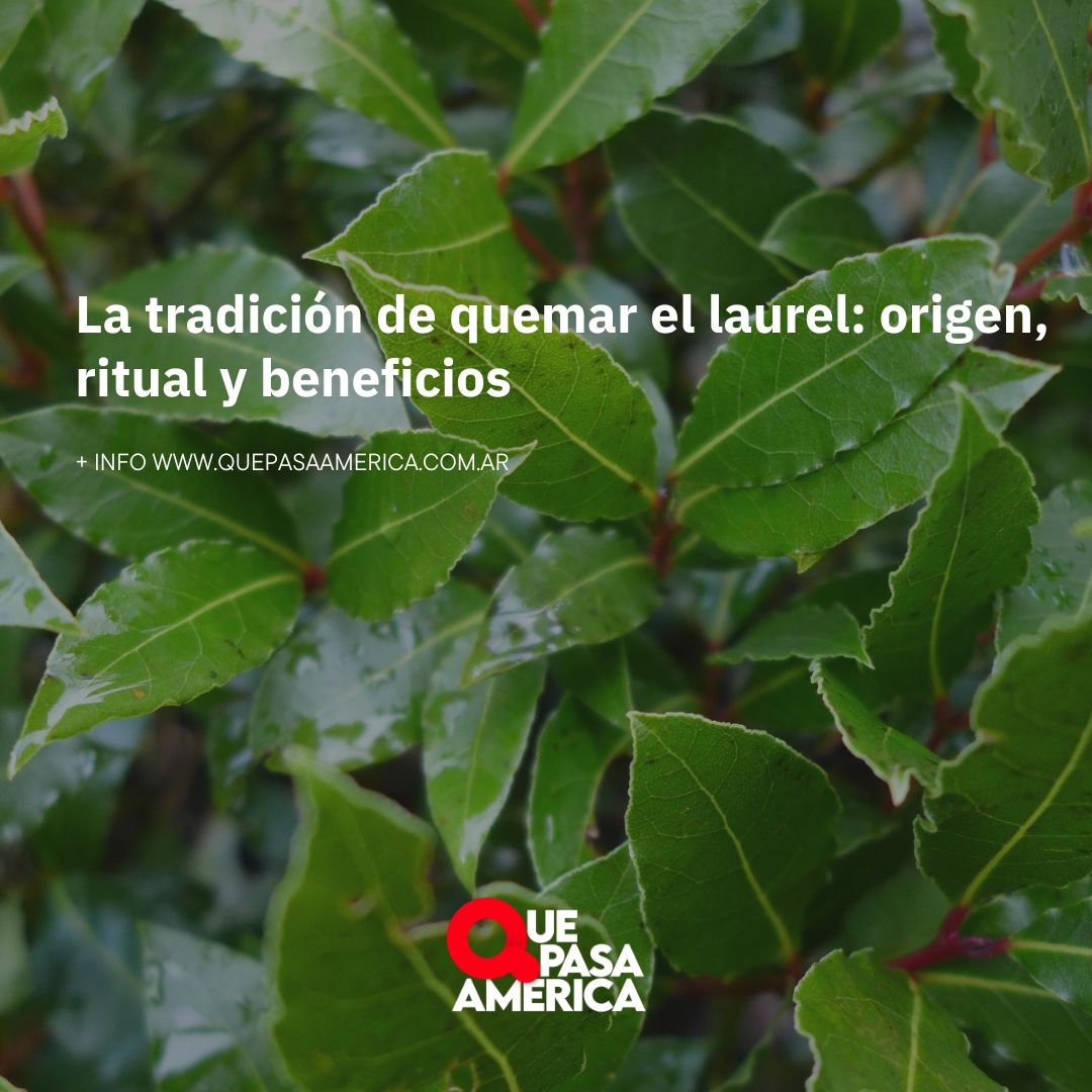 La tradición de quemar el laurel: origen, ritual y beneficios