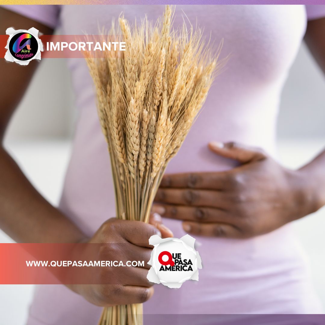 CURSO TALLER SOBRE ALIMENTOS LIBRES DE GLUTEN Y CELIAQUÍA EN AMÉRICA
