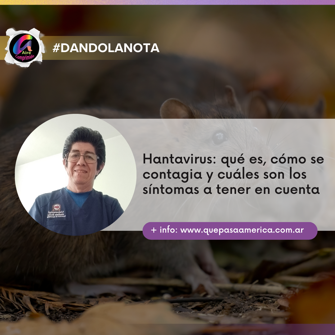 Hantavirus: qué es, cómo se contagia y cuáles son los síntomas a tener en cuenta