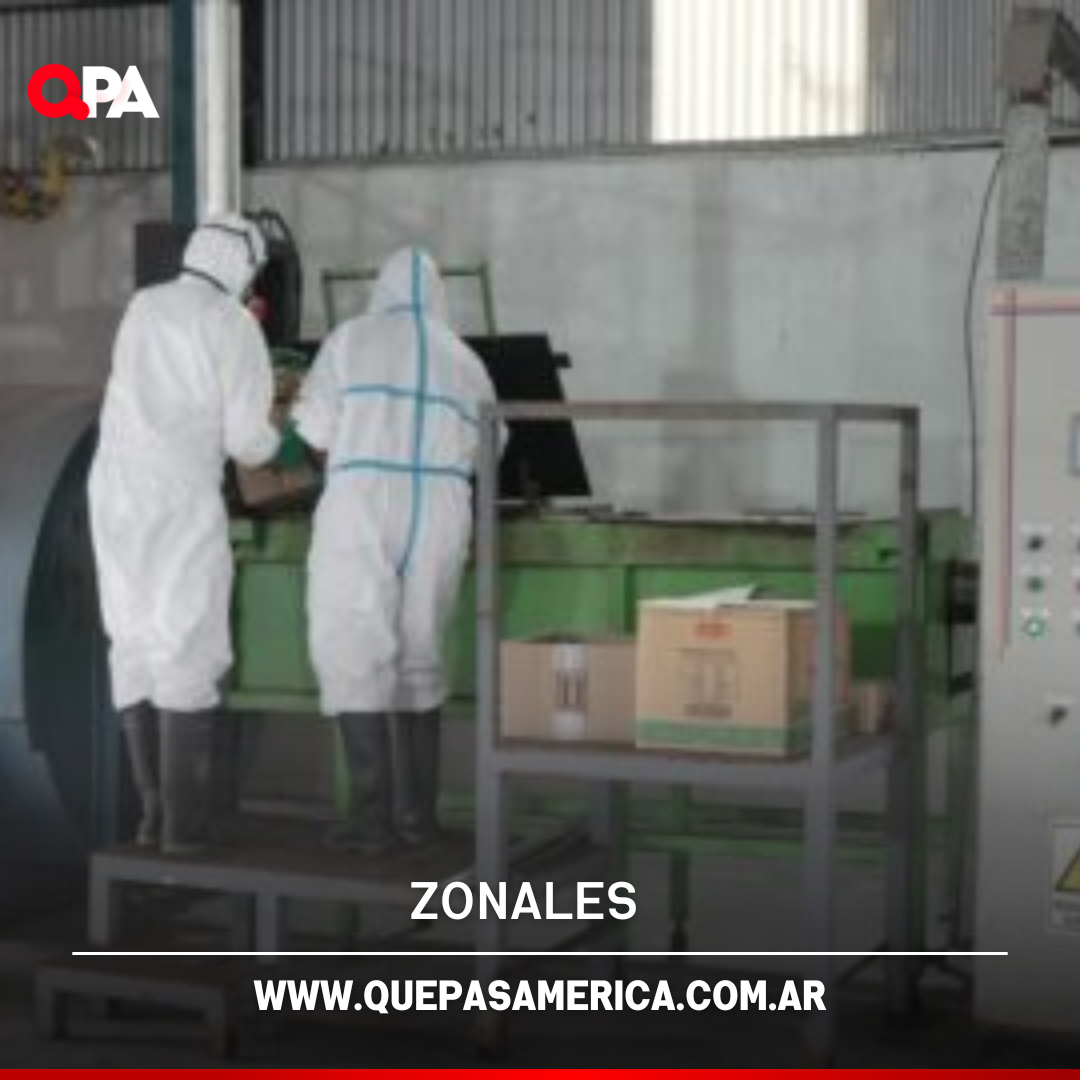 Destruyen marihuana, cocaína y drogas sintéticas incautadas en causas penales en Trenque Lauquen