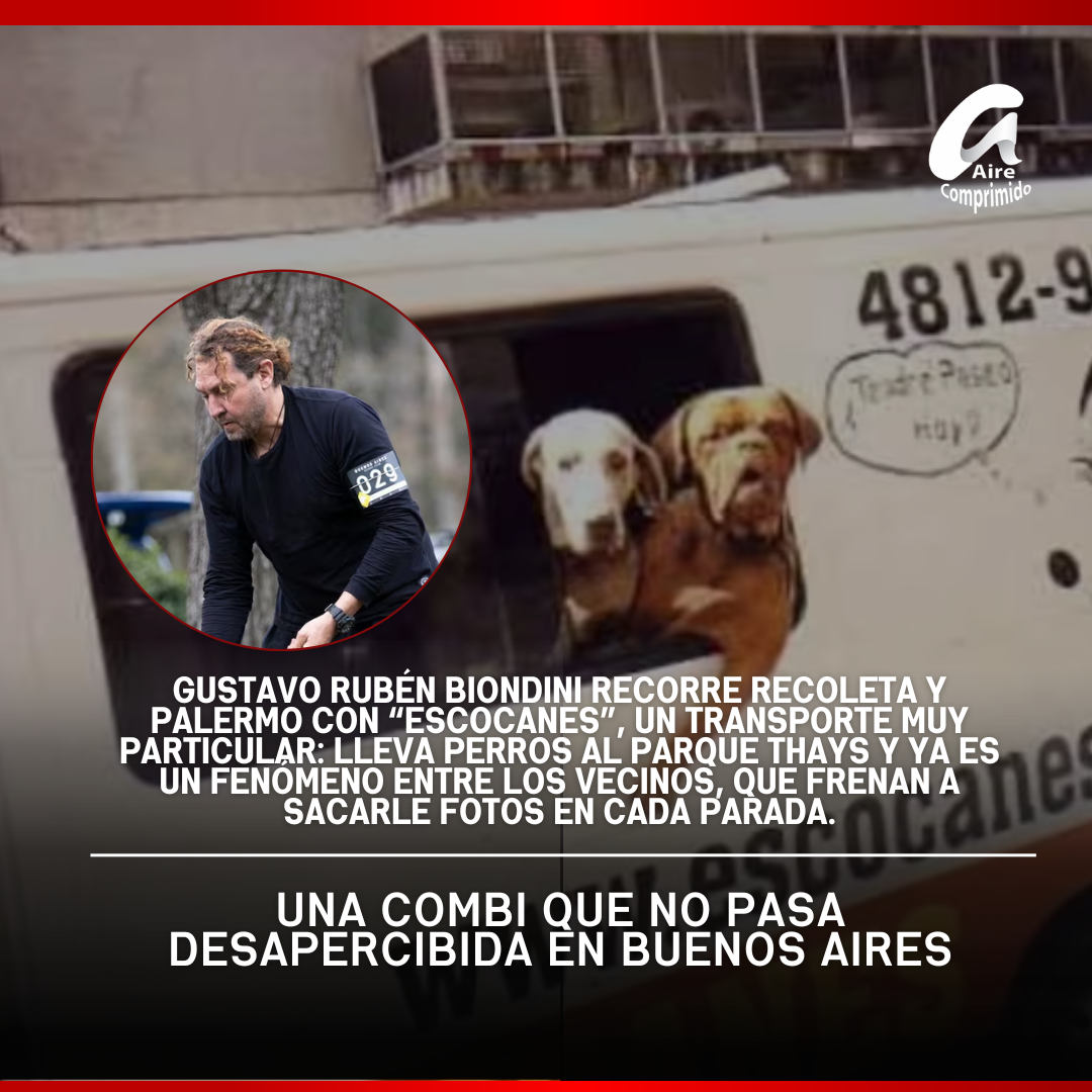 Una combi que no pasa desapercibida en Buenos Aires