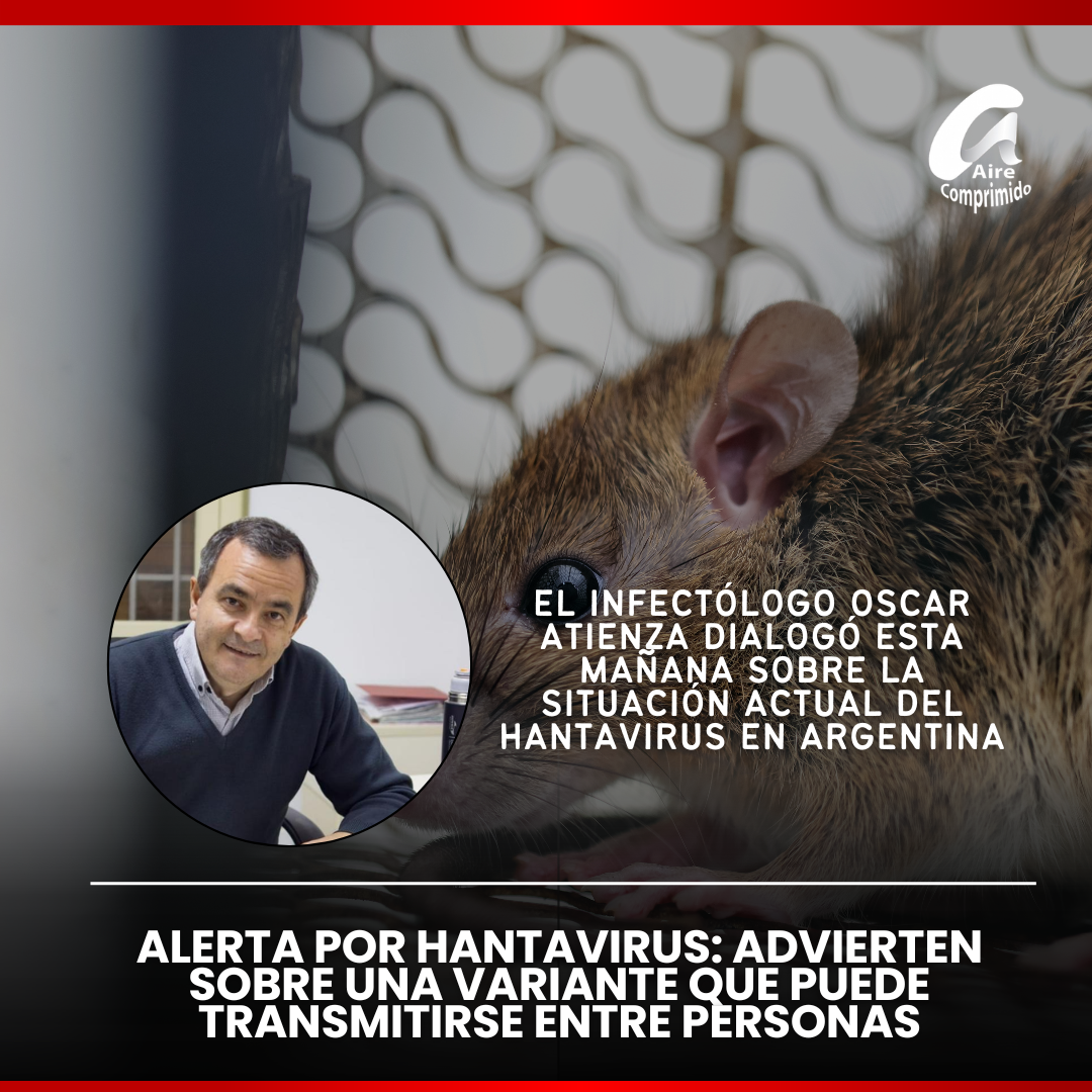 ALERTA POR HANTAVIRUS: ADVIERTEN SOBRE UNA VARIANTE QUE PUEDE TRANSMITIRSE ENTRE PERSONAS