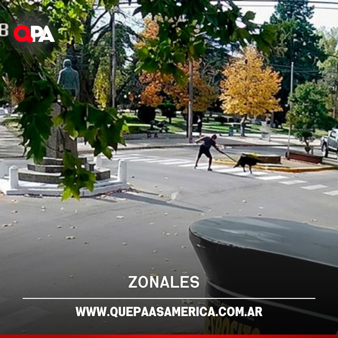 Golpeó con una pala a una perra que le ladró y generó indignación en Salliqueló