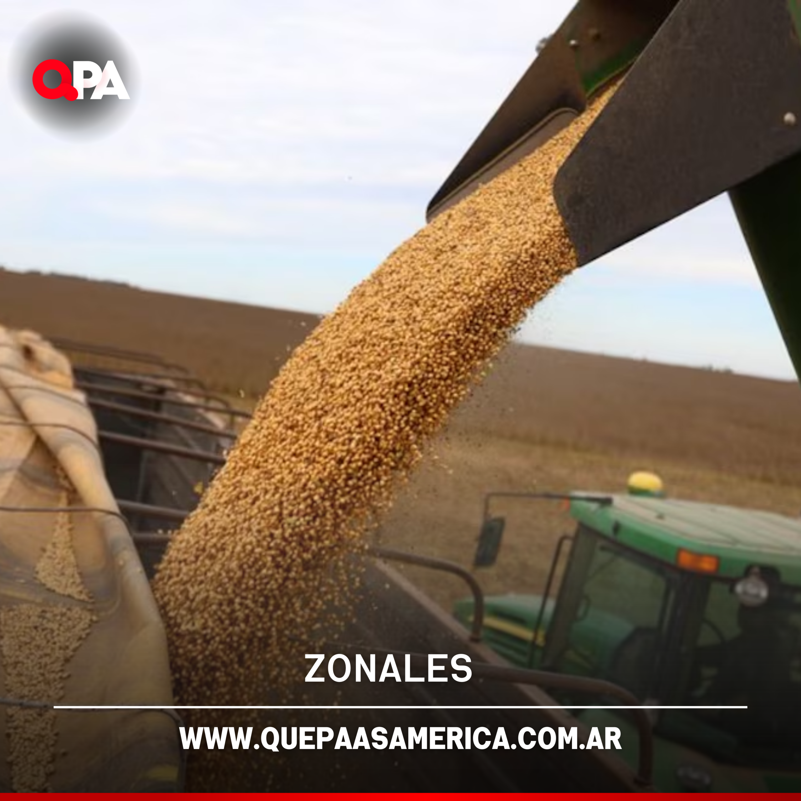 Rivadavia, Trenque Lauquen y Pellegrini lideran el crecimiento económico en el oeste bonaerense en 2025