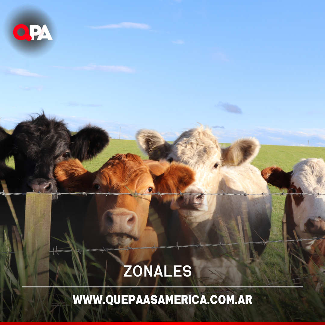 Impulsan créditos de hasta $200 millones para tambos en La Pampa