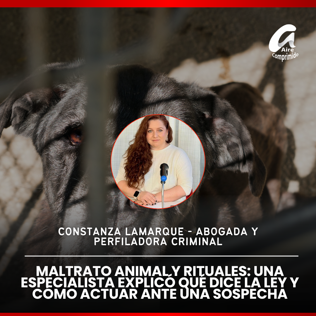 Maltrato animal y rituales: una especialista explicó qué dice la ley y cómo actuar ante una sospecha