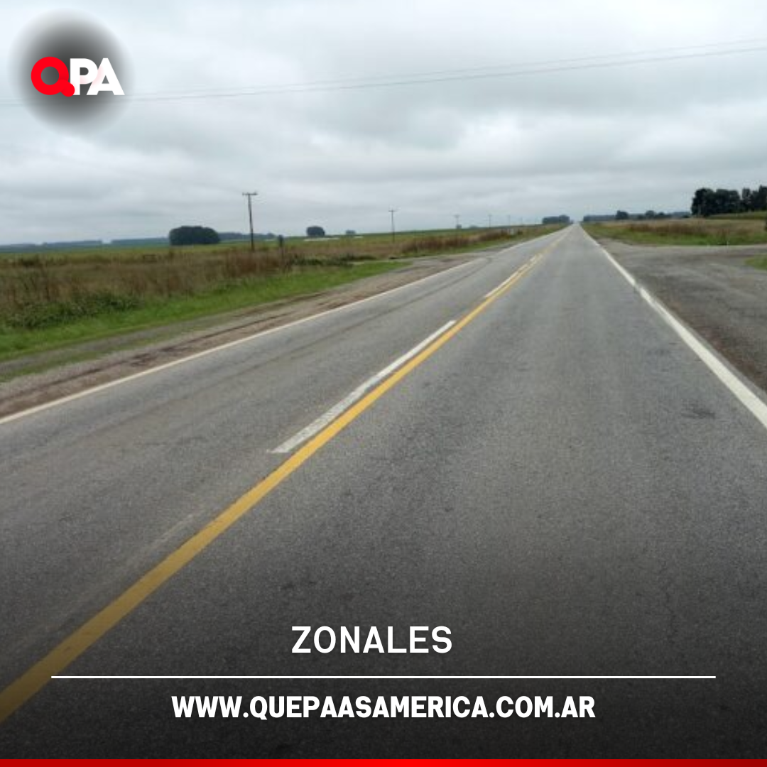 Carpinchos en la Ruta 33: piden extrema precaución al circular