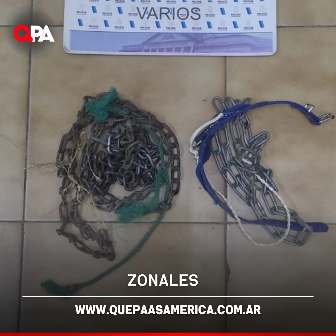 Rescatan a un dogo argentino víctima de maltrato y abandono en Trenque Lauquen