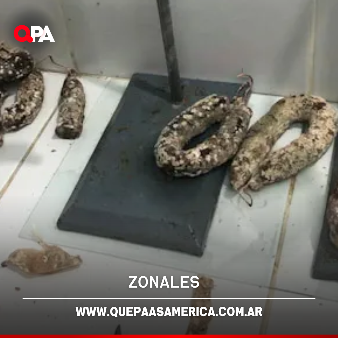 Triquinosis en una carnicería de Lincoln: decomisan carne y chacinados tras confirmarse triquina
