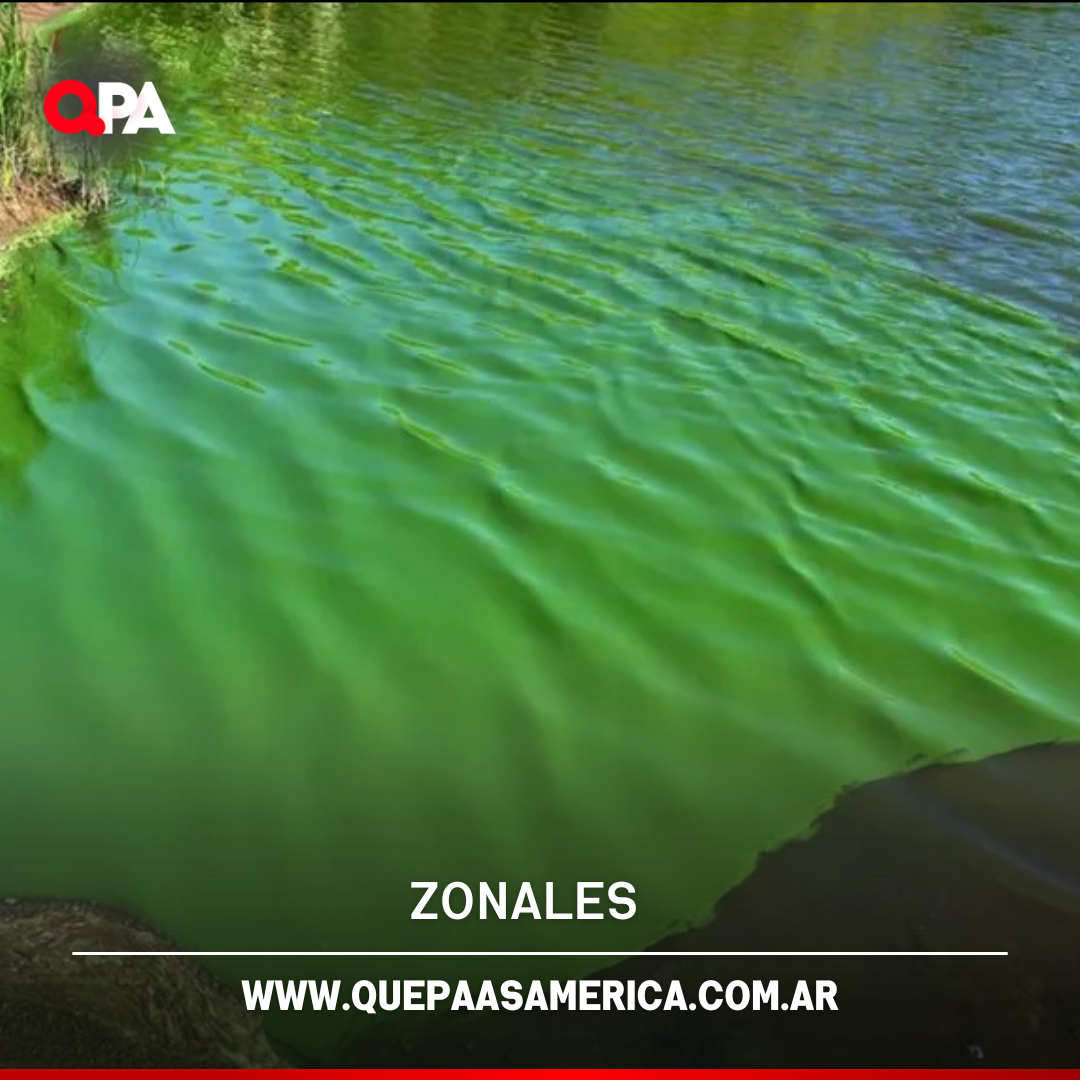 Alerta naranja por cianobacterias en Trenque Lauquen y otros 16 municipios bonaerenses