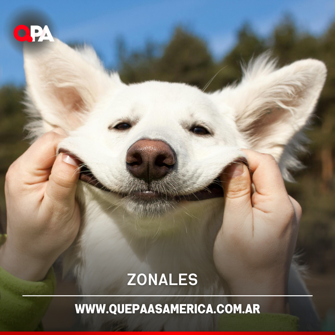 SAN FERNANDO PROHIBIÓ LA VENTA Y LA CRÍA COMERCIAL DE ANIMALES