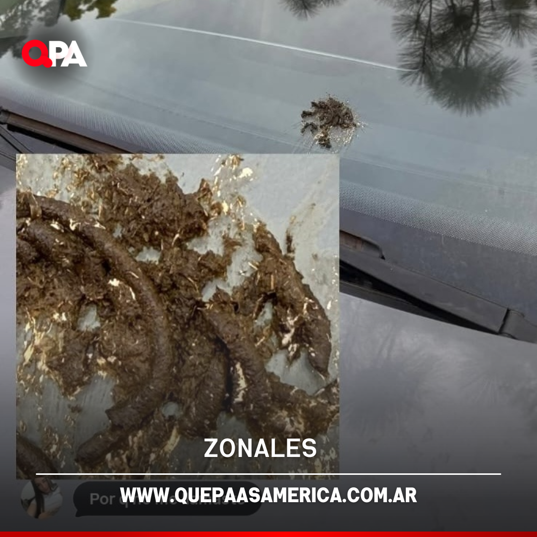 Denunció que ensuciaron su auto con excremento tras rechazar el servicio de lavacoches en General Pico