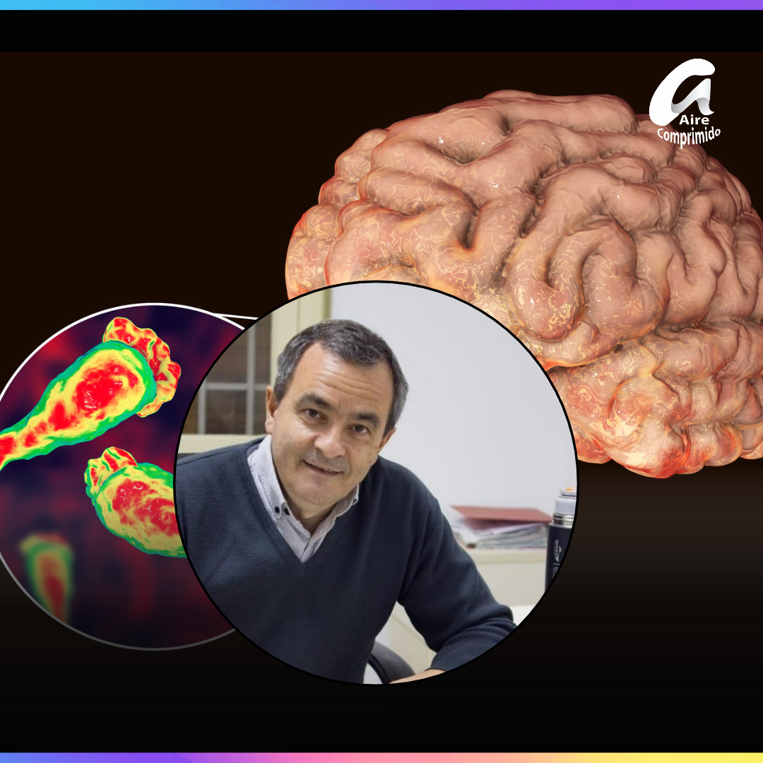 AMEBA “COME CEREBRO”: EL INFECTÓLOGO OSCAR ATIENZA EXPLICÓ LOS RIESGOS Y CÓMO PREVENIR LA INFECCIÓN